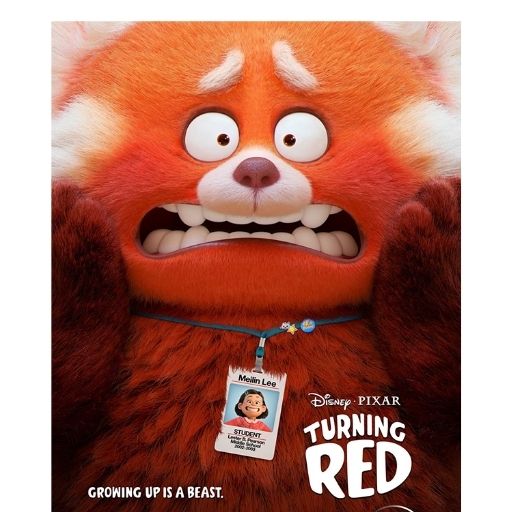 Turning Red Movie OTT Release Date – Check OTT Rights Here