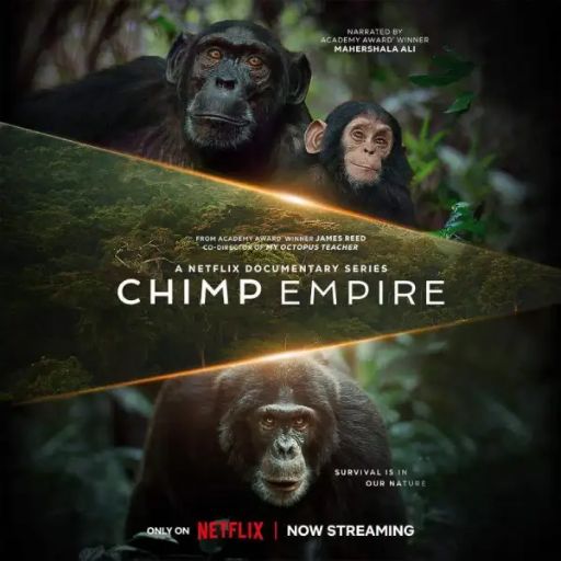 Chimp Empire Movie OTT Release Date – Check OTT Rights Here