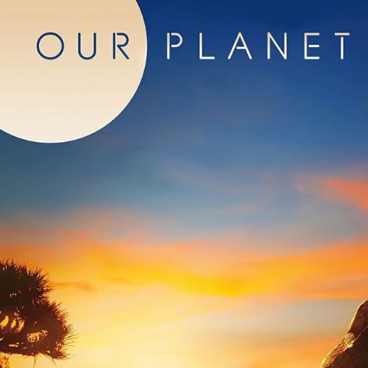 Our Planet II Series OTT Release Date – Check OTT Rights Here