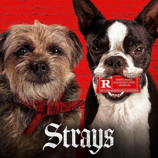 Strays Movie OTT Release Date – Check OTT Rights Here